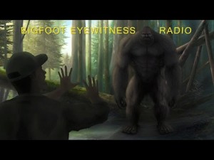 Bigfoot Eyewitness Radio