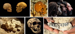 Human-Origins-Discoveries